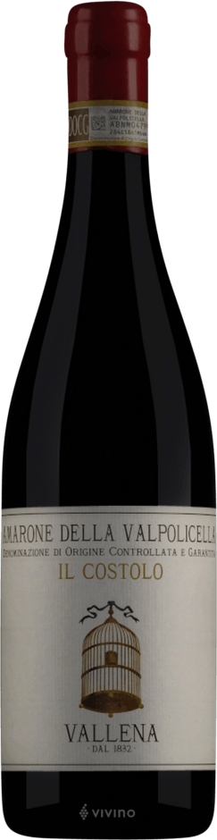 Amarone della Valpolicella Il Costolo
