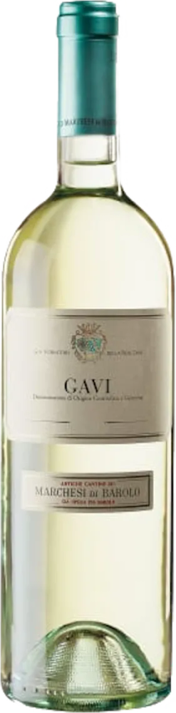 Gavi